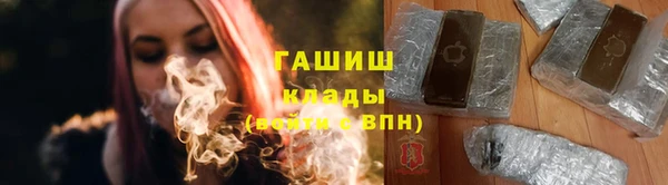 гидра Осинники